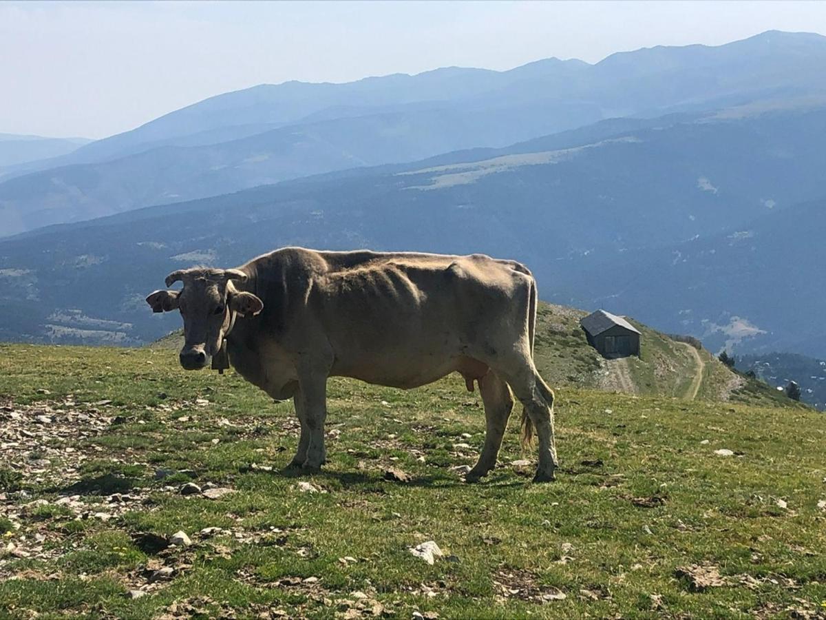 Panoramic Residencia Pista Llarga Apartman Alp Kültér fotó